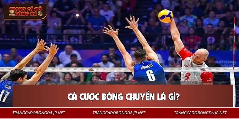 Cá cược bóng chuyền hiện là bộ môn được yêu thích nhất