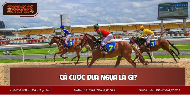 Cá cược đua ngựa là hình thức giải trí phổ biến