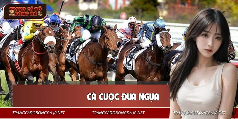 Cá Cược Đua Ngựa - Bí Quyết Soi Kèo Từ Các Cao Thủ Lâu Năm