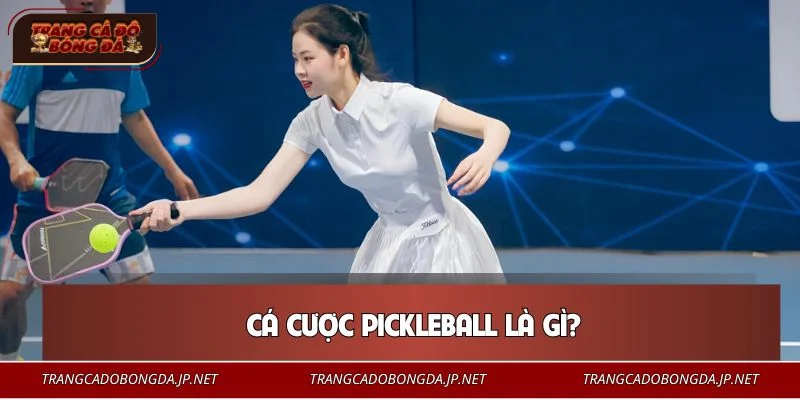 Bộ môn cá cược Pickleball còn mới mẻ với nhiều người