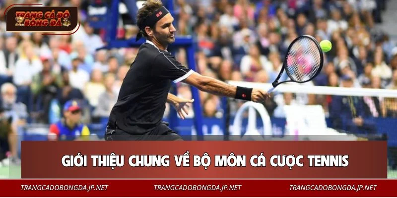 Cá cược tennis là hình thức giải trí quen thuộc