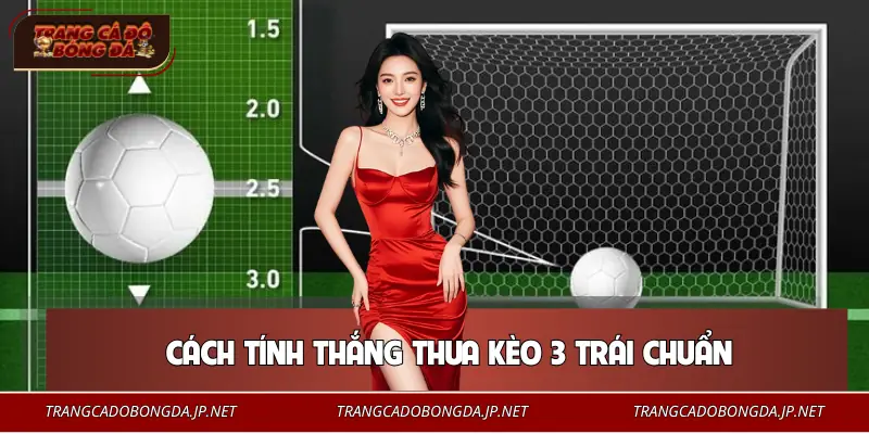 Hướng dẫn cách tính tiền cược 3 trái chuẩn chỉnh