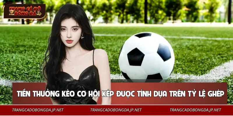 Hiểu rõ cách tính để quản lý vốn tốt hơn