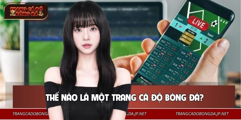 Trang cá độ bóng đá là nền tảng giải trí online quen thuộc