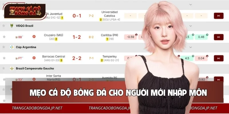 Tân thủ cần áp dụng mẹo soi kèo để tăng tỷ lệ thắng