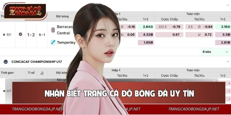 Dấu hiệu nhận biết trang cá độ bóng đá chuyên nghiệp, uy tín